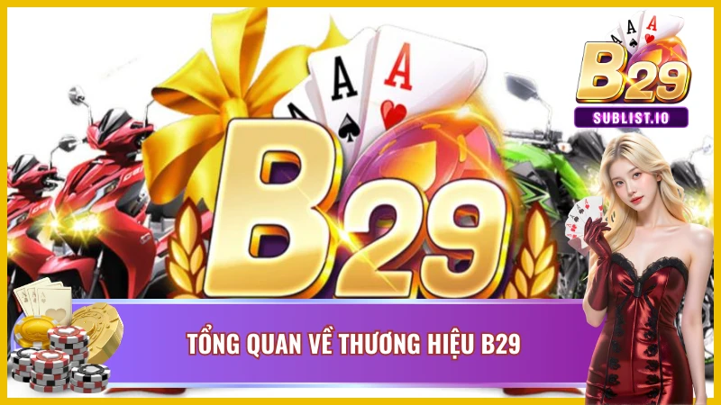Giới thiệu về Thương hiệu B29